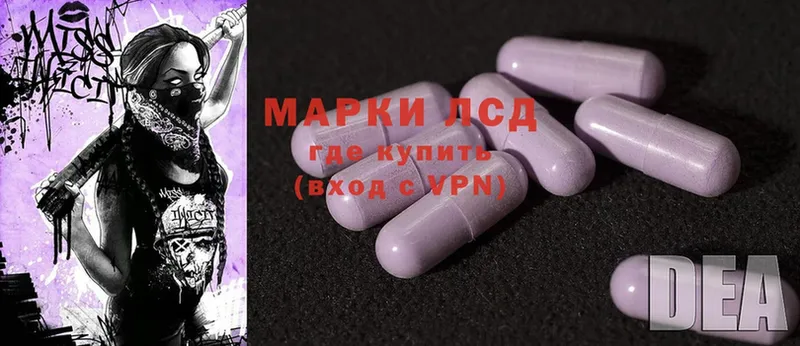 Лсд 25 экстази ecstasy  магазин продажи   Сертолово 